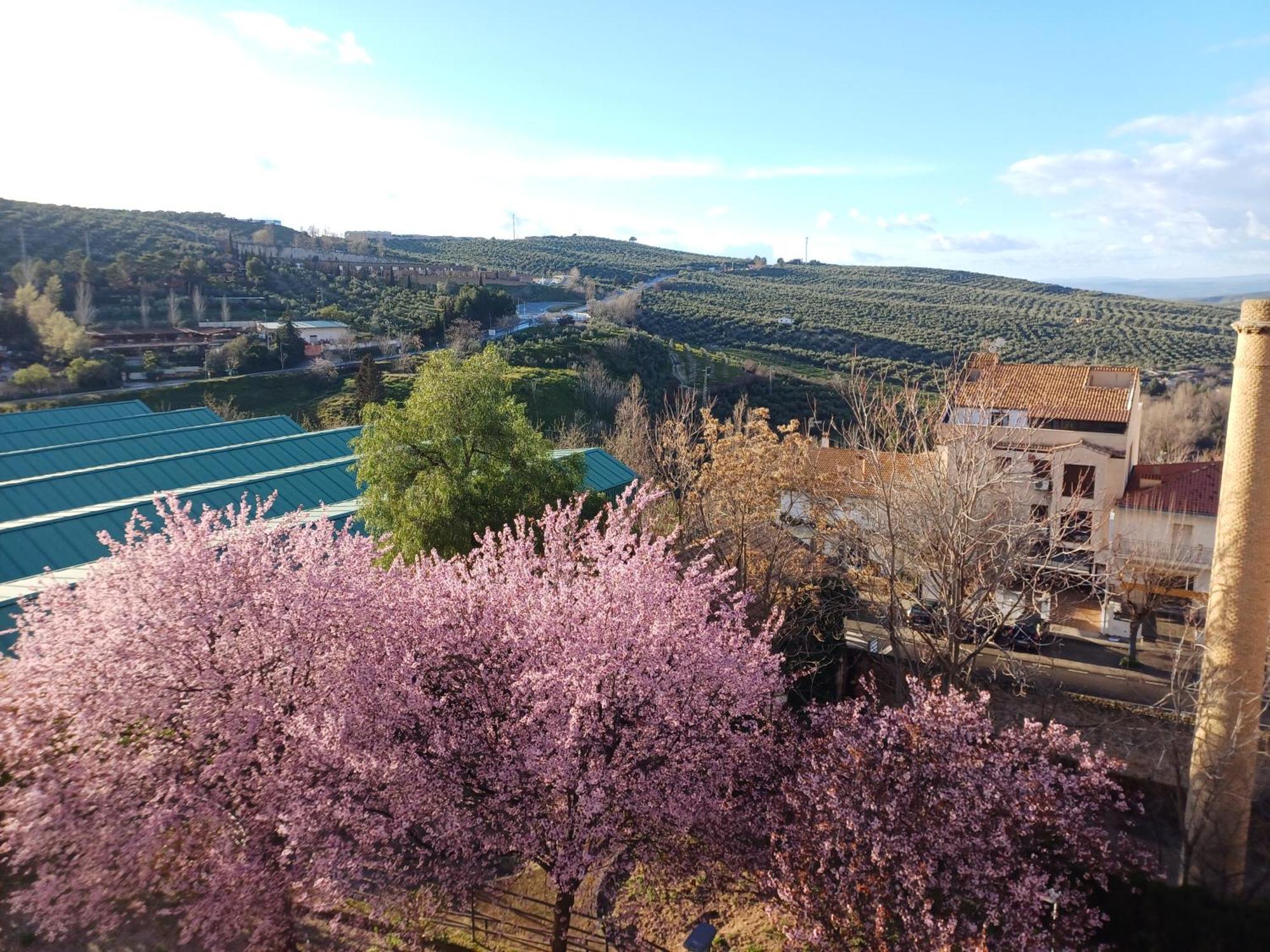 Cazorla Live Apartment Bagian luar foto