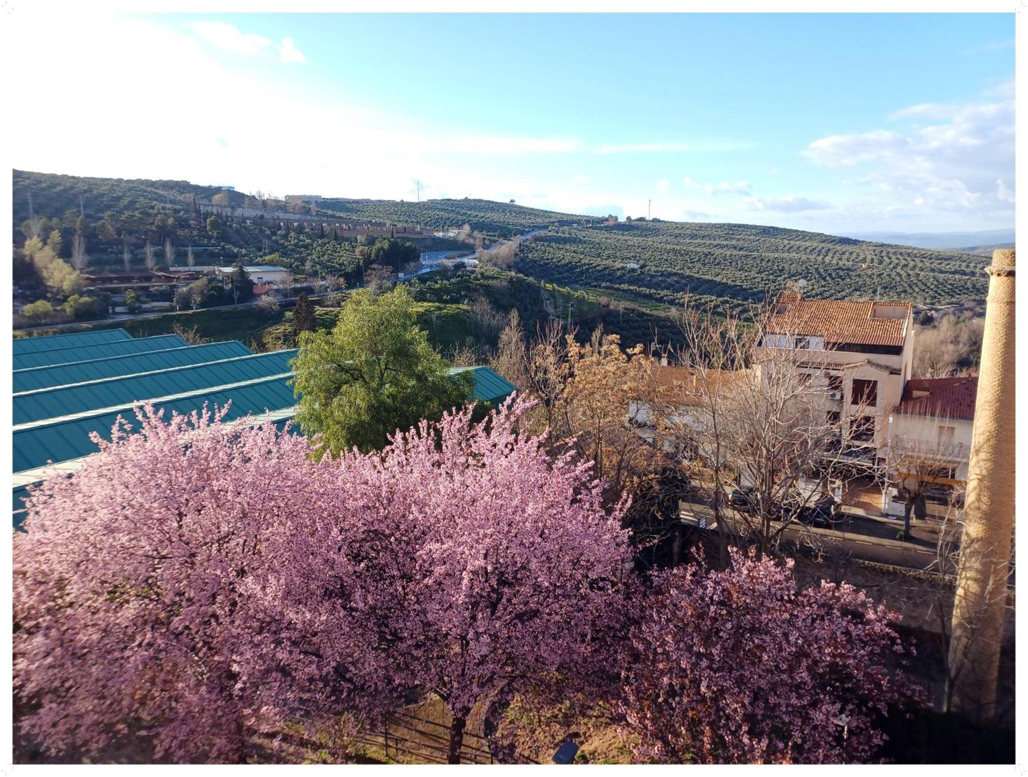 Cazorla Live Apartment Bagian luar foto